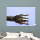Alligator in the Wildupper Myakka Lakesarrasotaflorida Wall Mural