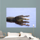 Alligator in the Wildupper Myakka Lakesarrasotaflorida Wall Mural