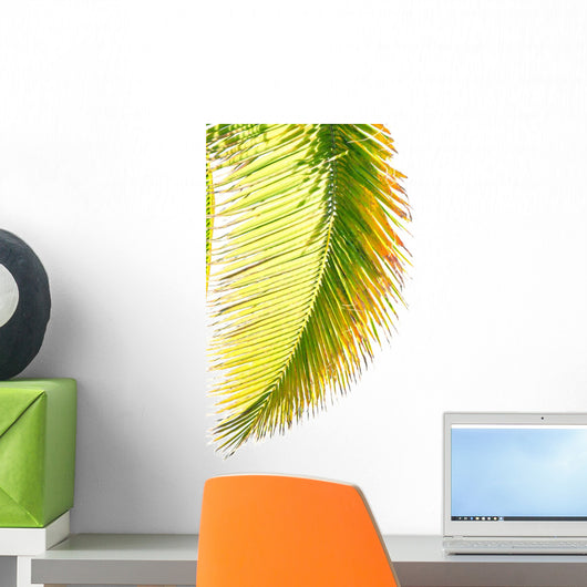 Coconut Palm Wall Mural