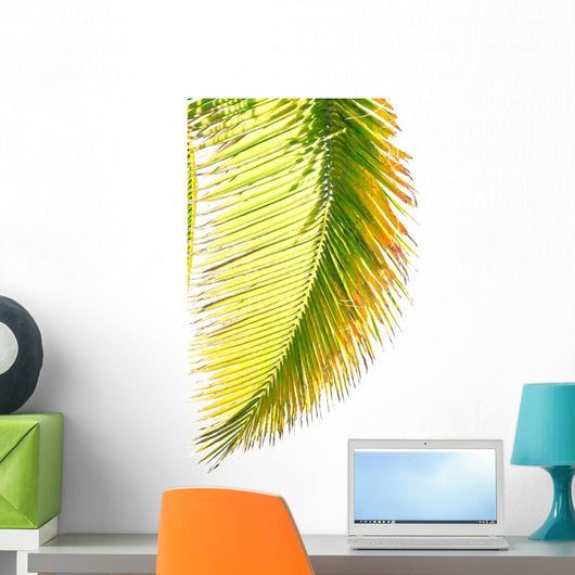 Coconut Palm Wall Mural