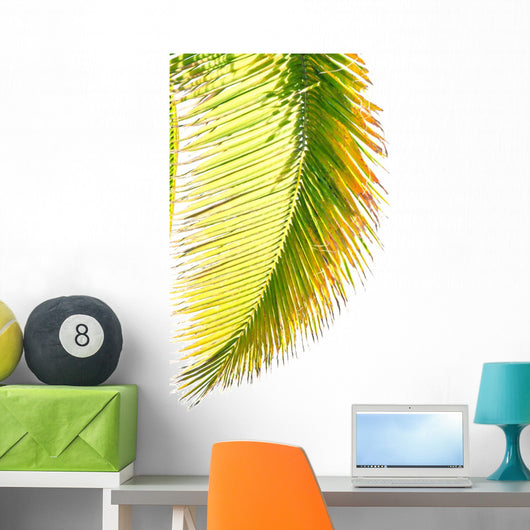 Coconut Palm Wall Mural