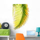 Coconut Palm Wall Mural