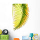 Coconut Palm Wall Mural