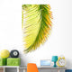 Coconut Palm Wall Mural