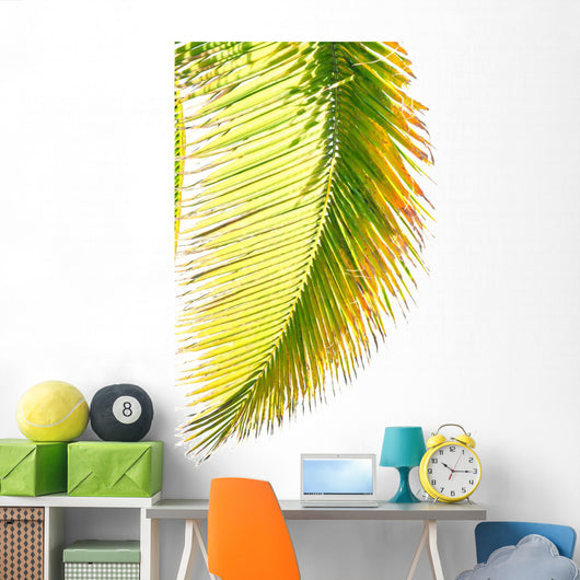 Coconut Palm Wall Mural