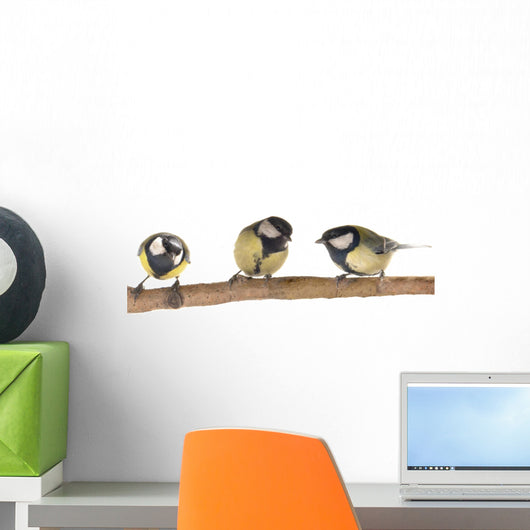 Titmouse