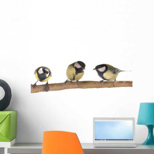 Titmouse