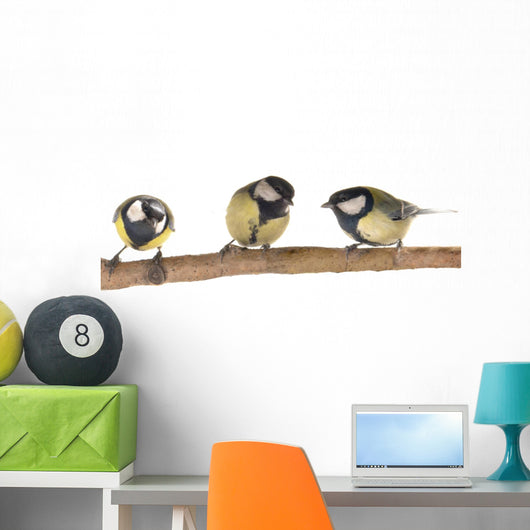 Titmouse