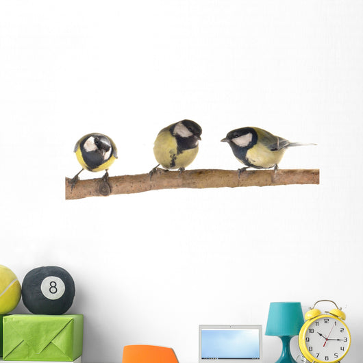 Titmouse