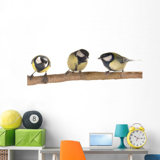 Titmouse