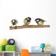 Titmouse