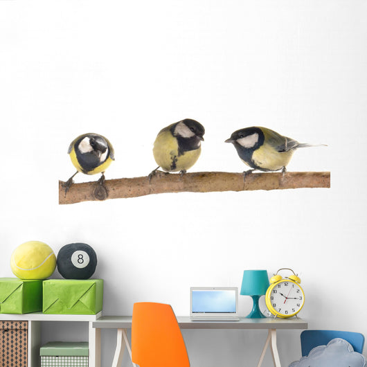 Titmouse