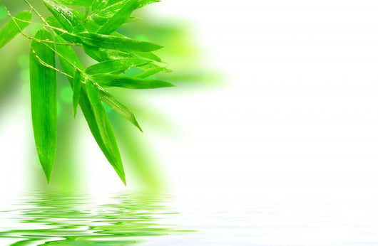 Wet Bamboo White