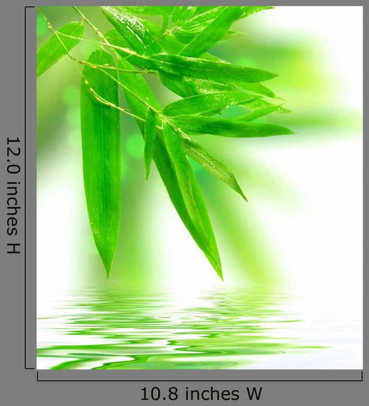 Wet Bamboo White