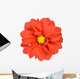 Orange Dahlia with Yellow Center Isolated on White Wall Decal