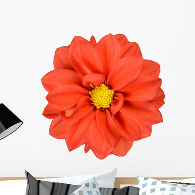Orange Dahlia with Yellow Wall Decal shown on a wall