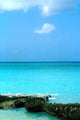 Deep Blue Sea Wall Decal