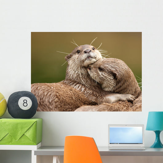 Oriental Short-clawed Otters Cuddling