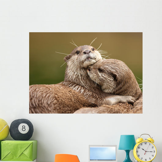 Oriental Short-clawed Otters Cuddling