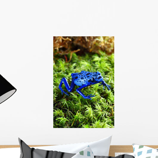 Blue Poison Dart Frog