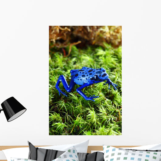 Blue Poison Dart Frog