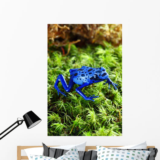 Blue Poison Dart Frog