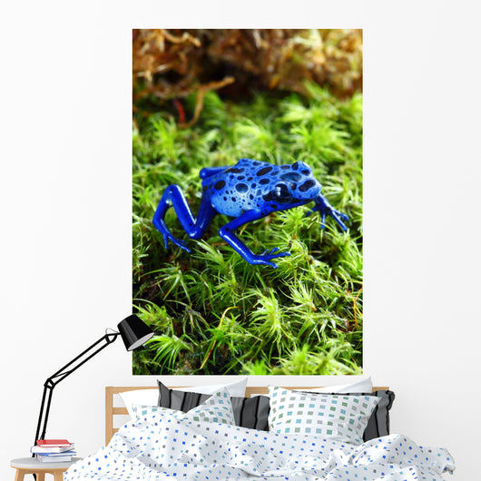 Blue Poison Dart Frog