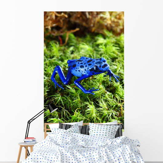 Blue Poison Dart Frog