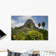 Pena Bernal Wall Decal