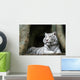 White Tiger Wall Mural