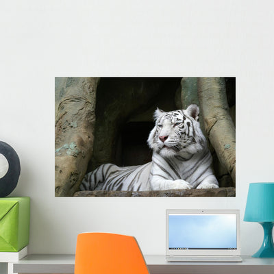 White Tiger Wall Mural shown on a wall