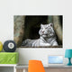 White Tiger Wall Mural