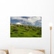 Olive Grove Wall Decal