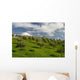 Olive Grove Wall Decal