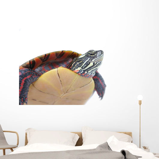 Turtle Power Wall Decal