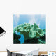 Soft Coral Sarcophyton Glaucium Wall Decal