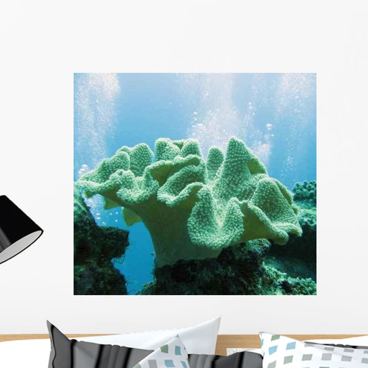 Soft Coral Sarcophyton Glaucium Wall Decal