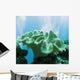 Soft Coral Sarcophyton Glaucium Wall Decal