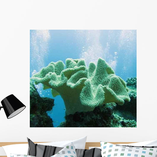 Soft Coral Sarcophyton Glaucium Wall Decal