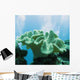 Soft Coral Sarcophyton Glaucium Wall Decal