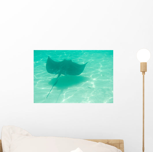 Sting Ray Swimming Wall Mural