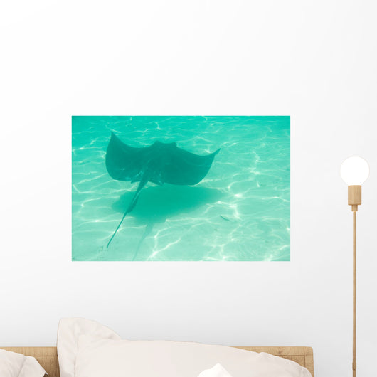 Sting Ray Swimming Wall Mural