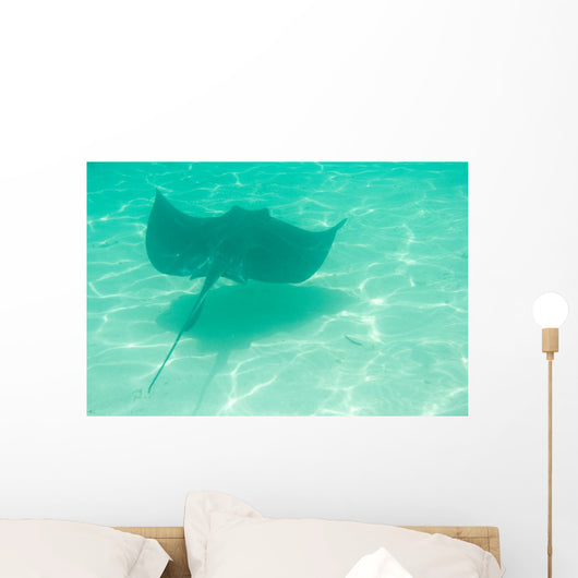 Sting Ray Swimming Wall Mural