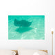 Sting Ray Swimming Wall Mural