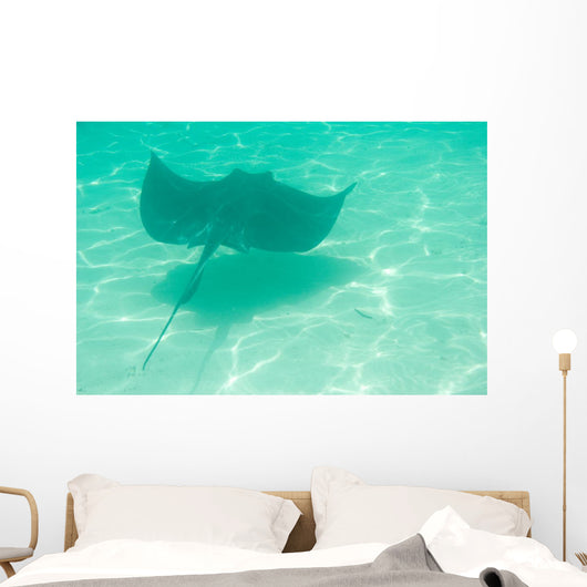 Sting Ray Swimming Wall Mural