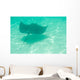 Sting Ray Swimming Wall Mural
