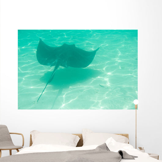 Sting Ray Swimming Wall Mural