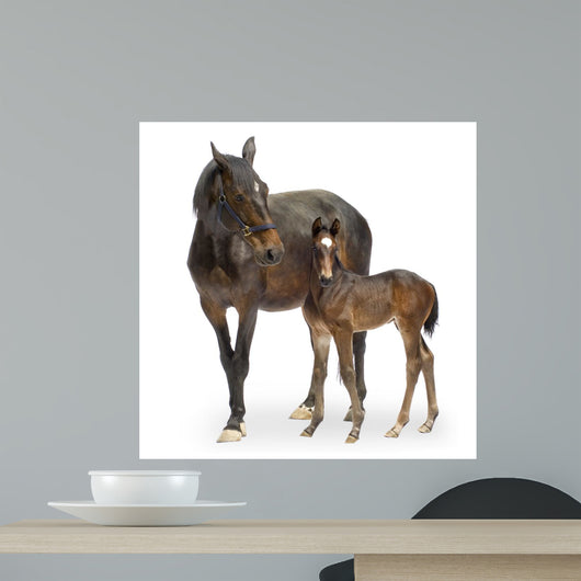 Mare with Her Foal Wall Decal