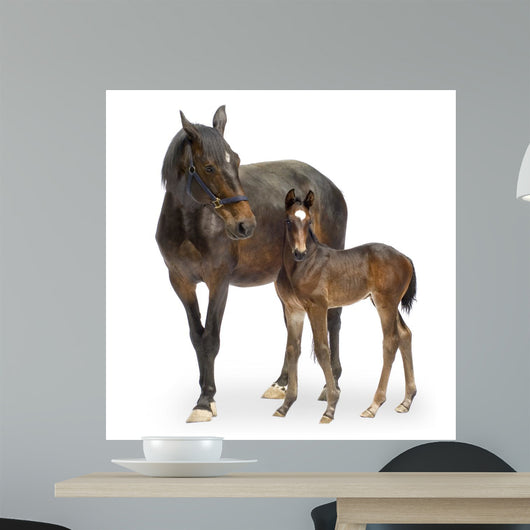 Mare with Her Foal Wall Decal