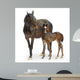 Mare with Her Foal Wall Decal
